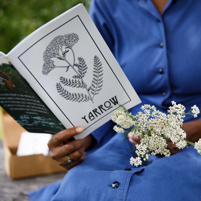 Plant of the Month Zines
